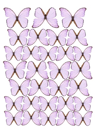 Бабочки фиолетовые №5, картинка на сахарной бумаге