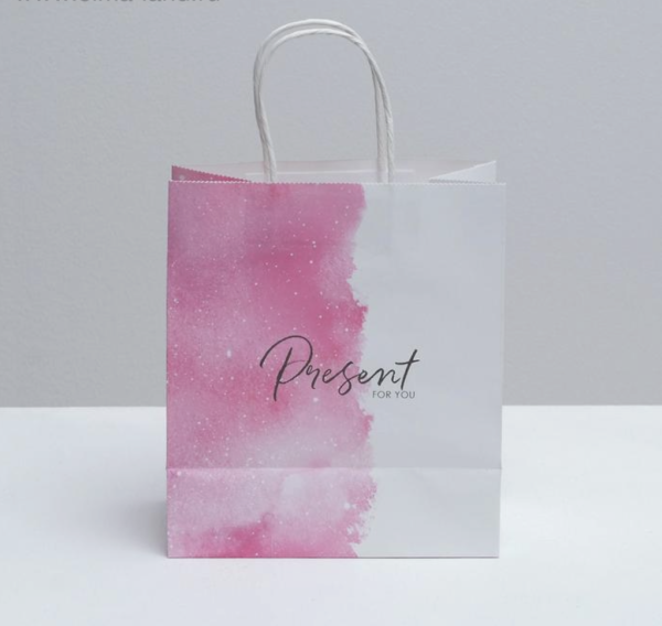 Пакет подарочный крафтовый «Present for you», 22 × 25 × 12 см