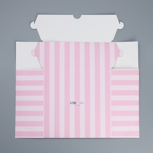 Коробка для капкейков и бенто «Вкусного настроения», 25 х 25 х 10 см