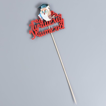 Топпер деревянный «Лучшему учителю» с совой