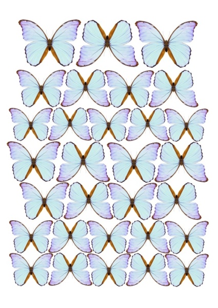 Бабочки №1, картинка на сахарной бумаге