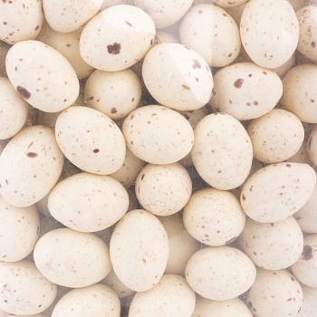 Драже "Яйца глазированные белые матовые в крапинку", 100 гр