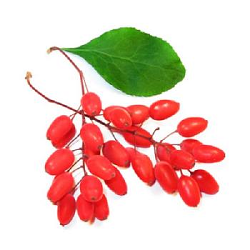 Ароматизатор пищевой Барбарис, Арома Органикс, 50 гр