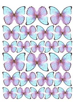 Бабочки разноцветные №7, картинка на сахарной бумаге
