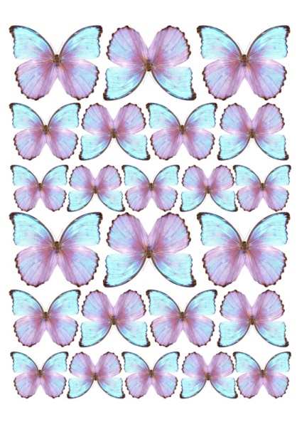 Бабочки разноцветные №7, картинка на сахарной бумаге